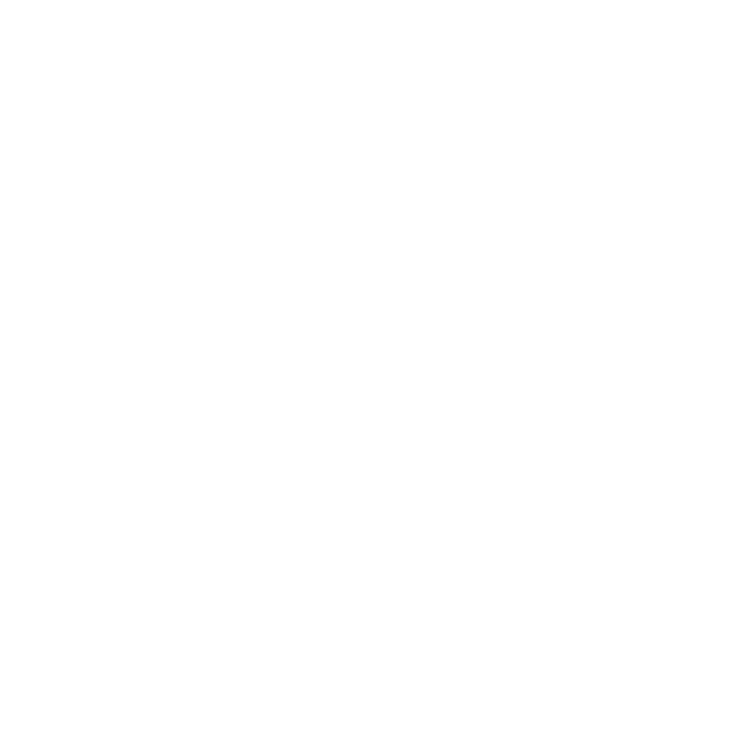 PEPPA & PRIM LLC